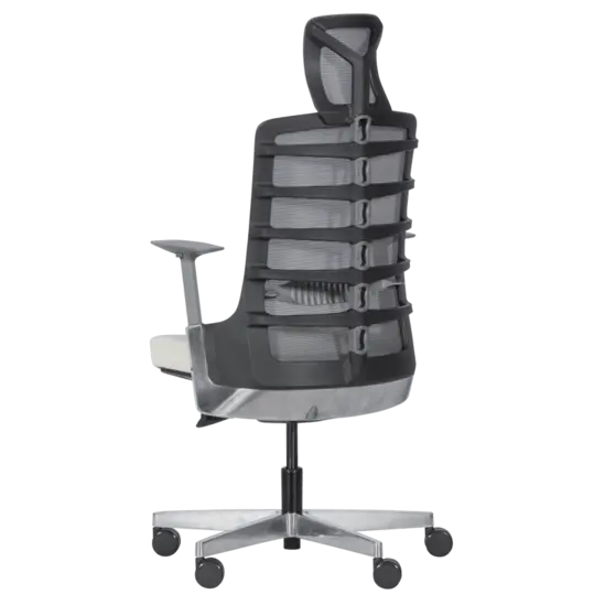 Директорски стол АЛЦЕК-снимка отзад, полипропиленова рамка