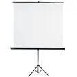Екран на стойка 180х180 см