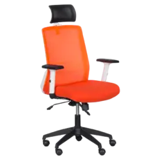 Директорски стол АНУШ-сниман отпред, ергономичен