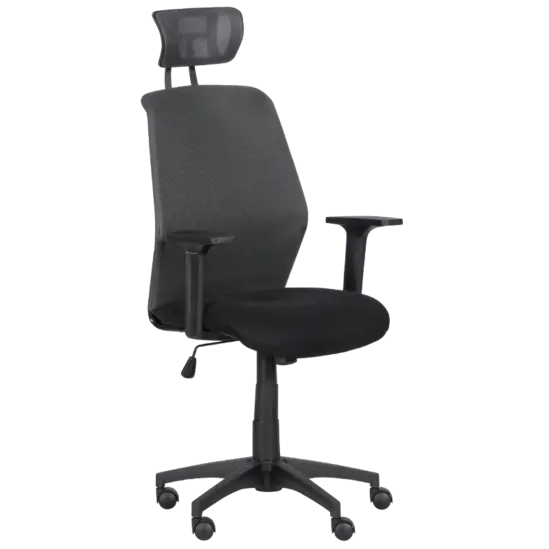 Директорски стол ДЕНИЦА- двуцветен офис стол