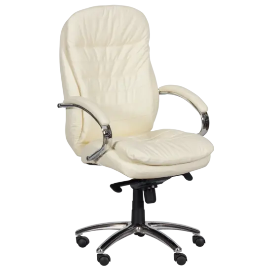 Президентски стол СТРУМЯНИ-снимка отпред