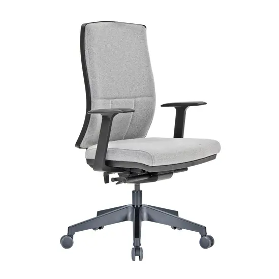 Директорски стол ДРАЧ RX 43