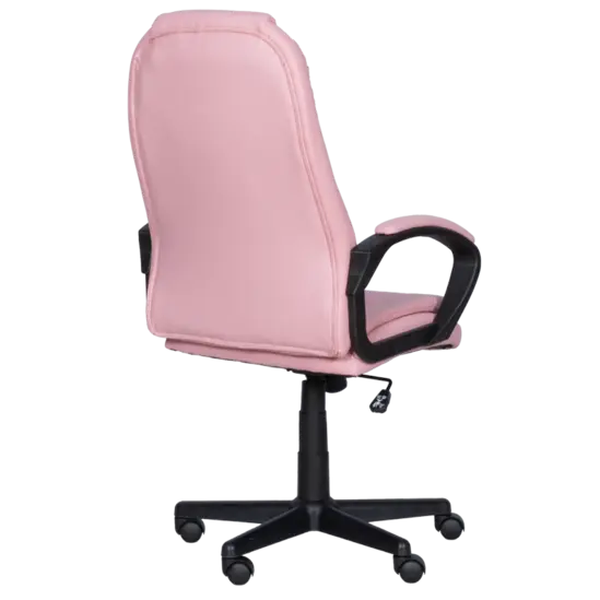 Директорски стол ЯСЕР- отзаг, снимка на гърба