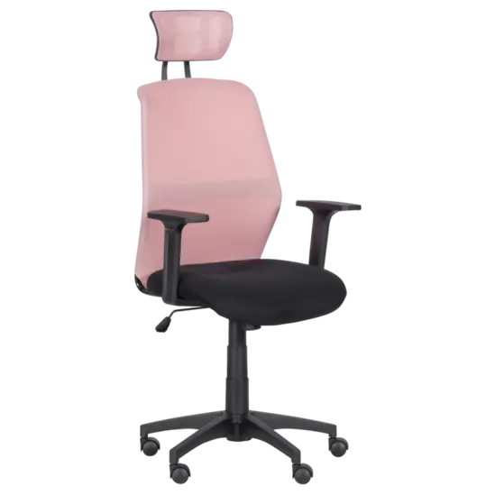 Директорски стол ДЕНИЦА- ергономичен, в два цвята