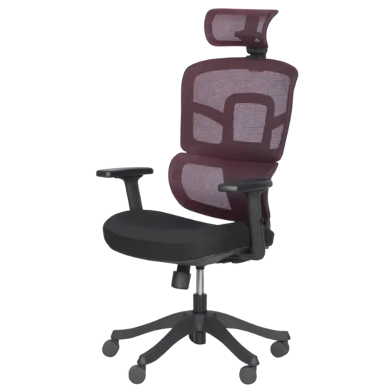 Директорски стол ВЕЛИКО- снимка отстрани