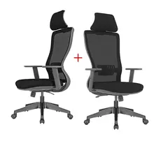 Президентски стол КЪРКЛАРЕЛИ ARY 10