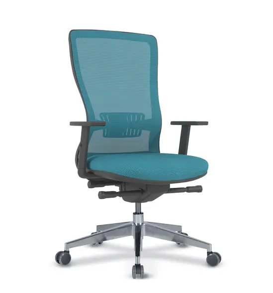 Работен стол КЪРКЛАРЕЛИ ARY27