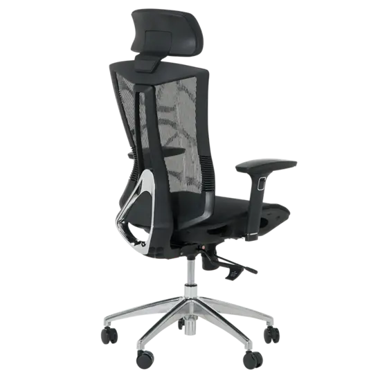 Дирексторски стол ЛУСИЯ- снимка отзад, лумбална опора