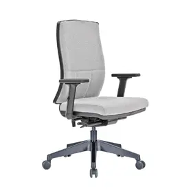 Директорски стол ДРАЧ RX 42