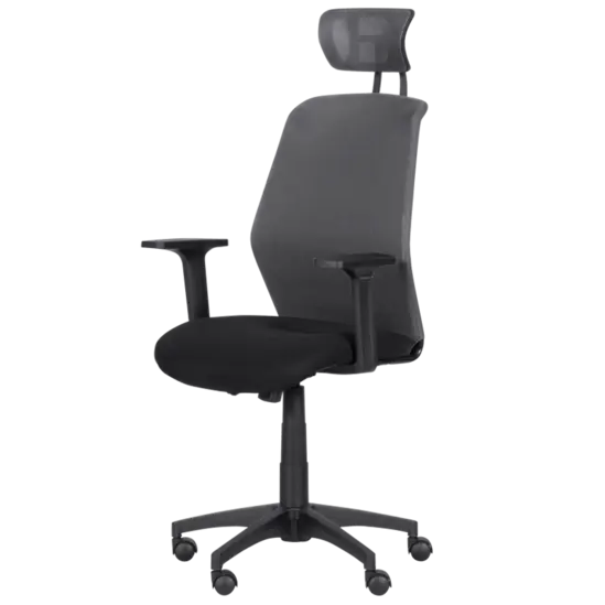 Директорски стол ДЕНИЦА- сниман отстрани, два цвята