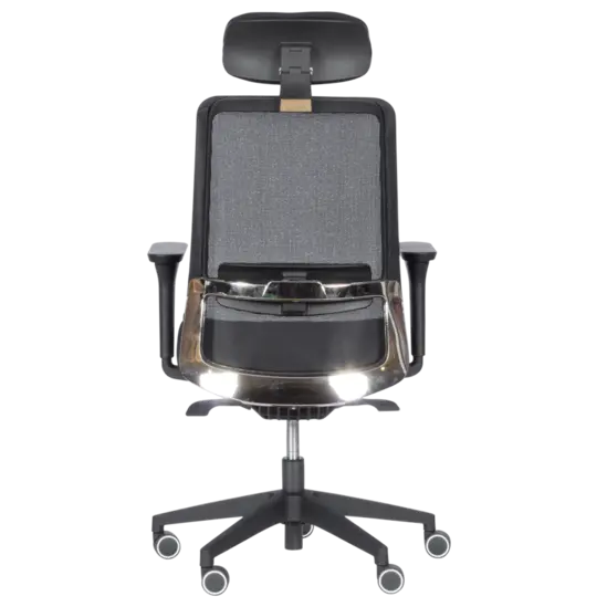 Директорски стол АЛЕКСИ-снимка отзад, лумбална опора