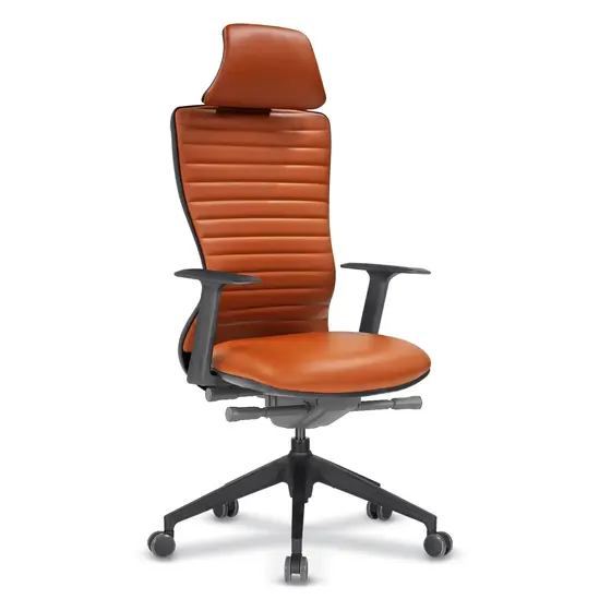 Директорски стол КЪРКЛАРЕЛИ ARY 76