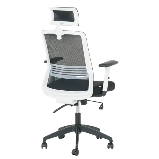 Директорски стол АНУШ