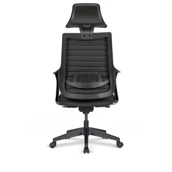 Директорски стол БЕЛАСИЦА ALF 202- с лумбална опора8