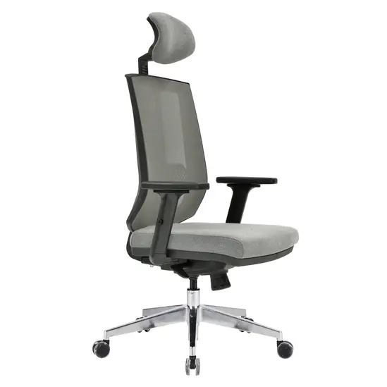 Работен стол ТЕРВЕЛ Regal 01