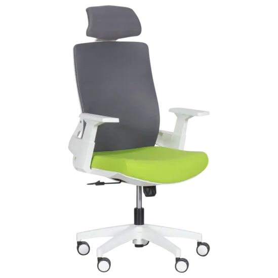 Президентски стол Миглена 46 - зелен със сиво