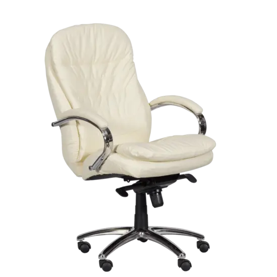 Президентски стол СТРУМЯНИ- сниман в наклон