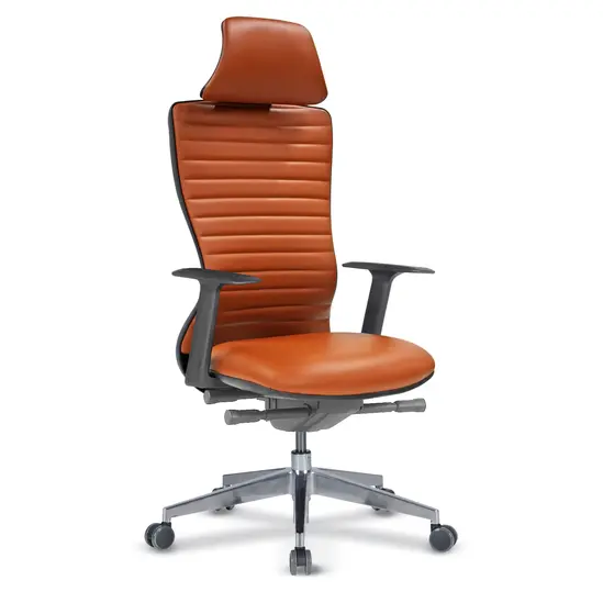 Директорски стол КЪРКЛАРЕЛИ ARY 66