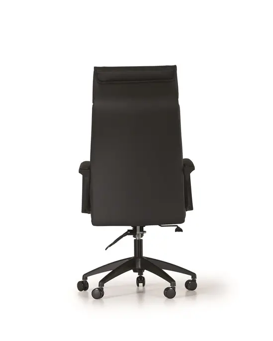 Президентски стол SIDE P-снимка отзад