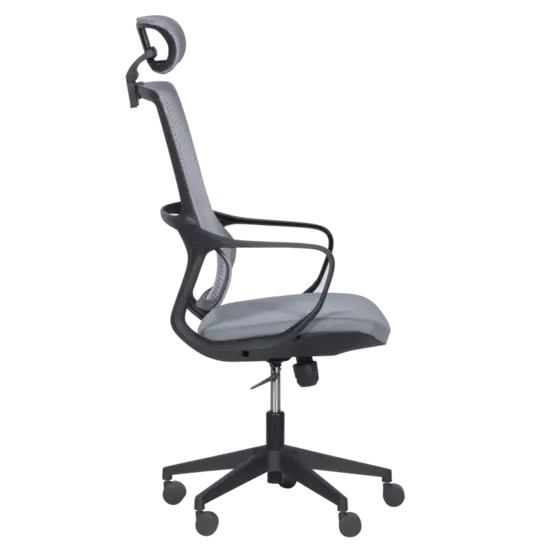 Директорски стол ВАРДЕНА-сниман отстрани, ергономичен