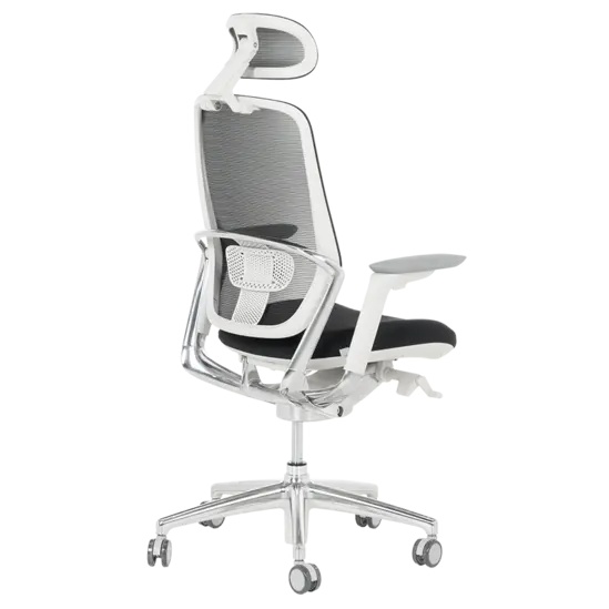 Работен стол СЕЛЕНА-снимка отзад, опора за кръста