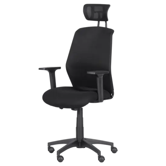 Директорски стол ДЕНИЦА- фиксирани полипропиленови подлакътници