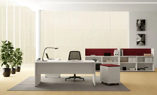 Оперативен кабинет OXI