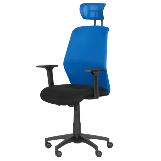 Директорски стол ДЕНИЦА- лумбална опора